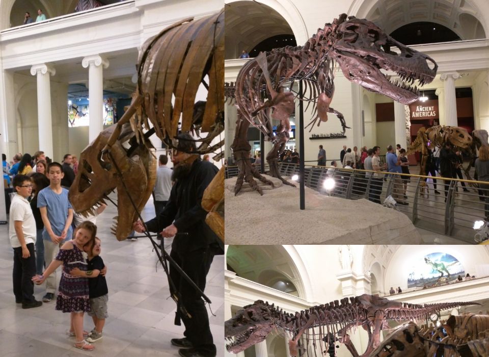 Members Night at the Museum